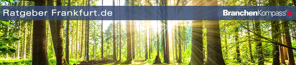 Selbstheilung und Reselienz stärken in Seminaren