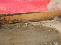 Schimmel frisst sich ausgehend von der feuchten Kellerwand durch ganze Gebäude