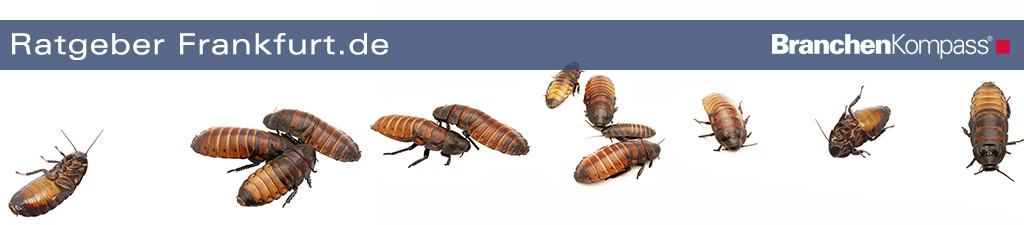 Schädlinge tummeln sich