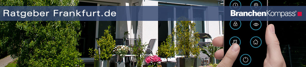 Smarthome wird vom Handy aus bedient und überwacht