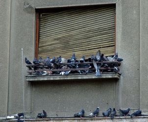 Vertragsabschluss mit Handschlag