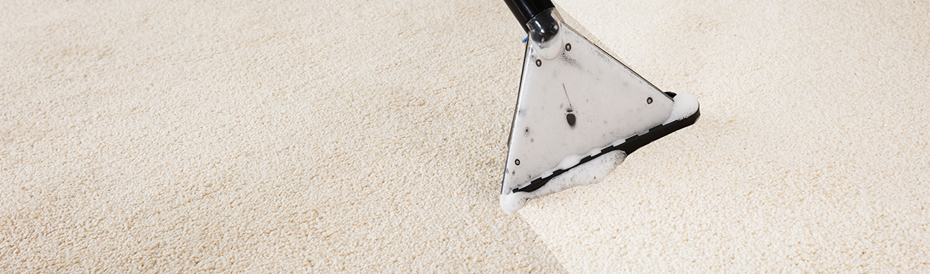 Teppichreinigung Frankfurt