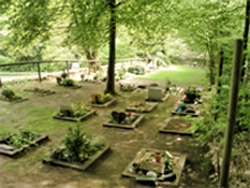 Tierfriedhof Frankfurt