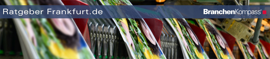 Werbedruck in Frankfurt – Firmenprospekt auf der Sammelstation